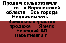 Продам сельхозземли ( 6 000 га ) в Воронежской области - Все города Недвижимость » Земельные участки продажа   . Ямало-Ненецкий АО,Лабытнанги г.